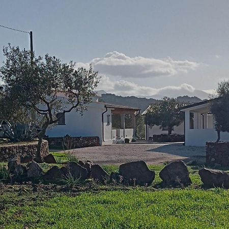 Agriturismo Sa Murta Dorgali Exterior photo