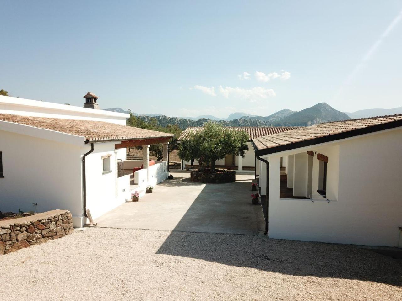 Agriturismo Sa Murta Dorgali Exterior photo